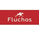 Chaussures  Fluchos GOTE F0676 Marron