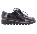Derbies  Géo Reino PAVACO Vernis Truffe 
